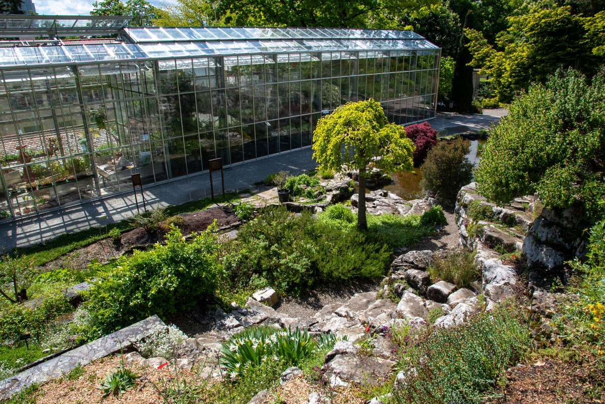 Jardin botanique Lausanne (c) Michel Krafft (1).jpg