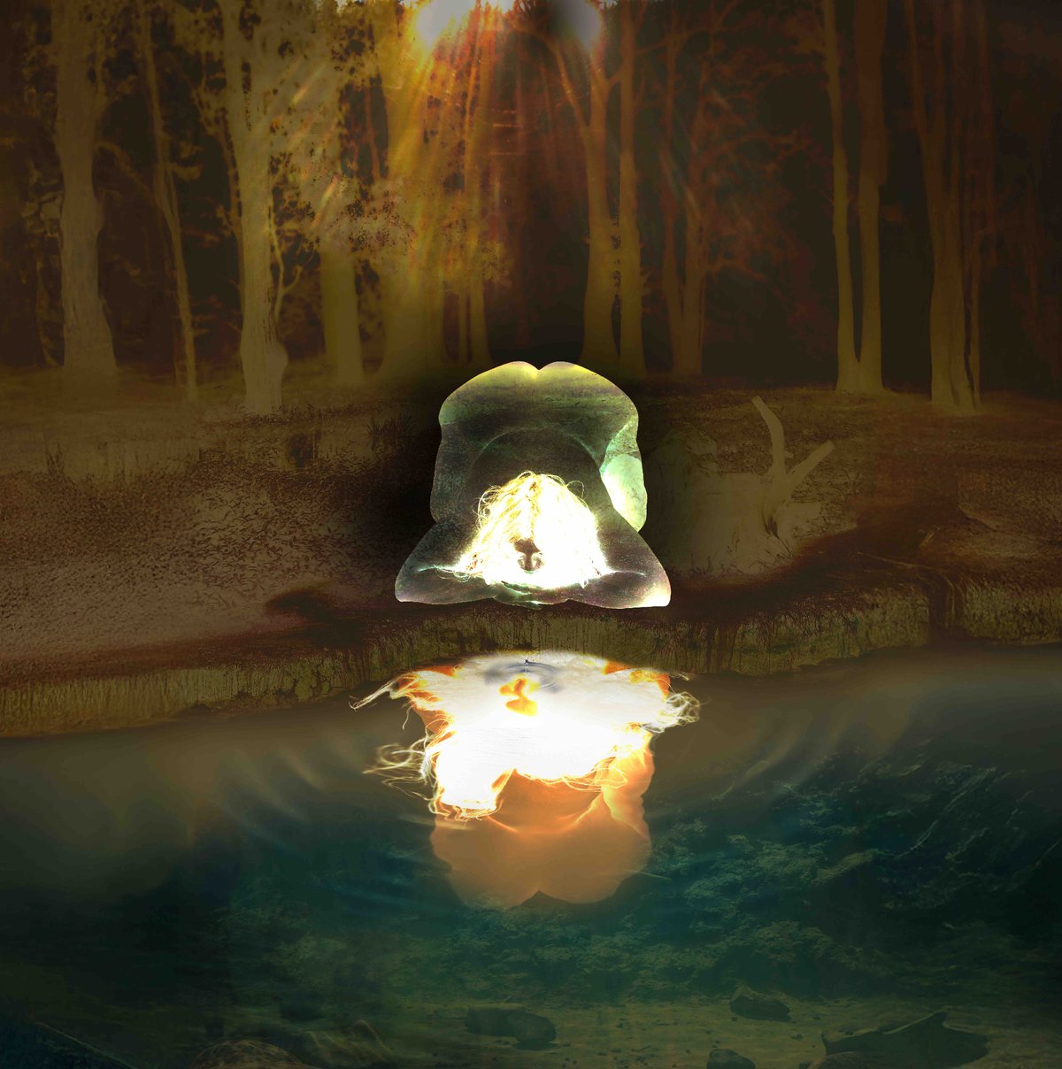 1753188358_mcba_giuliaessyad_narcissus.png