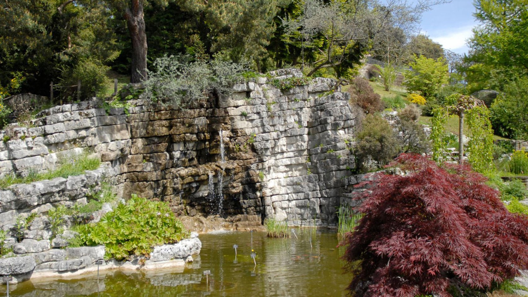 jardin_botanique_4_3.jpg