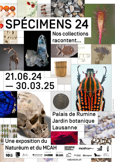 Affiche_Specimens24_portrait web.jpg