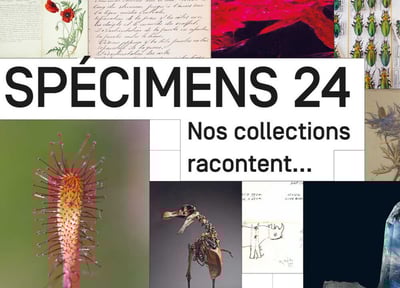 Specimens24-visuel-site sans date 4.3.jpg