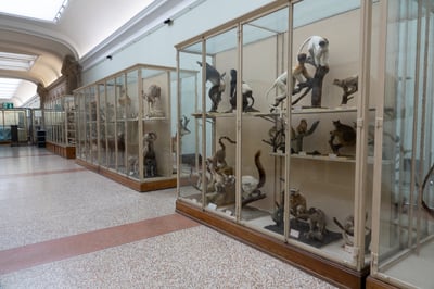 2021-02-04-galerie sud_009.jpg