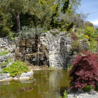 jardin_botanique_4_3.jpg