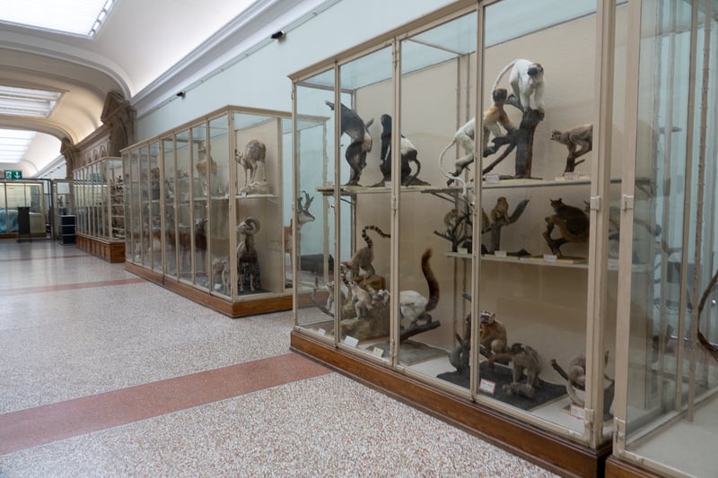 2021-02-04-galerie sud_009.jpg