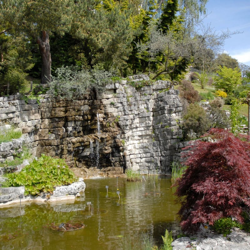 jardin_botanique_4_3.jpg